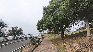 gx016807.mp4_snapshot_00.01_thumb.jpg