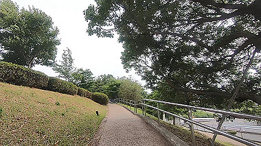 gx016807.mp4_snapshot_00.14_thumb.jpg