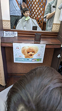 2022-08-11_10-52-40_000_thumb.jpg