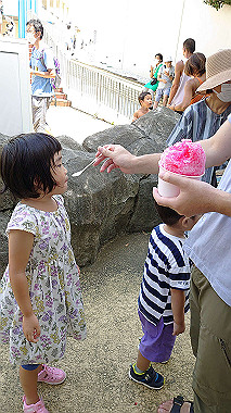 2022-08-17_11-49-35_000_thumb.jpg