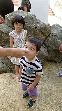 2022-08-17_11-50-04_000_thumb.jpg