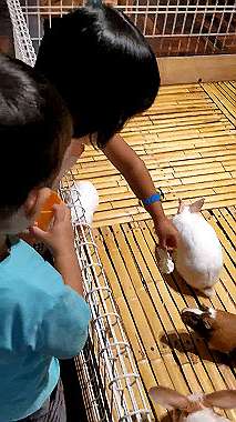 2022-08-27_14-10-25_000_x264.mp4_snapshot_00.00_thumb.jpg