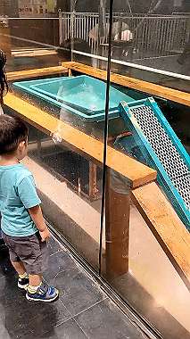 2022-08-27_14-22-16_000_x264.mp4_snapshot_00.00_thumb.jpg