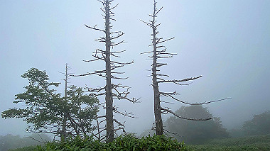 2022-07-23_14-12-23_941_thumb.jpg