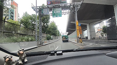 gx016809.mp4_snapshot_00.13_thumb.jpg
