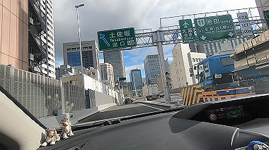 gx016810.mp4_snapshot_00.14_thumb.jpg