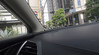 gx016810.mp4_snapshot_00.32_thumb.jpg