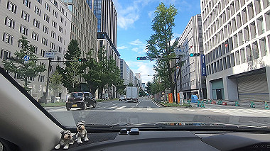 gx016811.mp4_snapshot_00.12_thumb.jpg