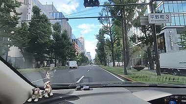 gx016811.mp4_snapshot_00.38_thumb.jpg