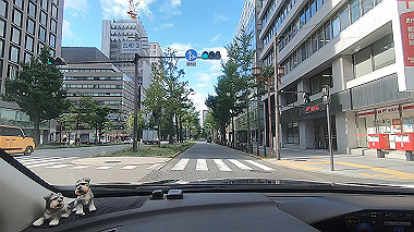 gx016811.mp4_snapshot_00.55_thumb.jpg