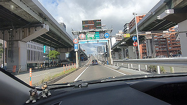 gx016812.mp4_snapshot_00.12_thumb.jpg