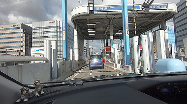 gx016812.mp4_snapshot_00.30_thumb.jpg