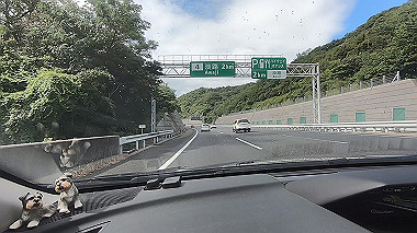 gx016816.mp4_snapshot_00.59_thumb.jpg