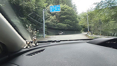 gx016828.mp4_snapshot_01.19_thumb.jpg