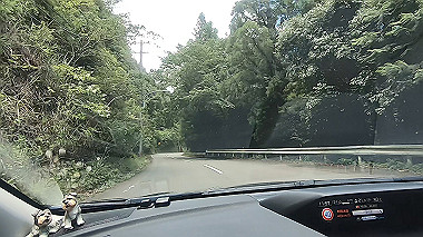 gx016828.mp4_snapshot_01.23_thumb.jpg