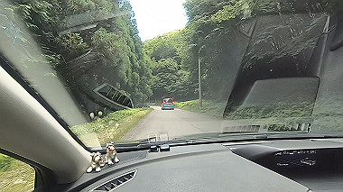 gx016830.mp4_snapshot_00.52_thumb.jpg