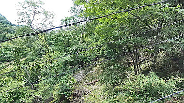 gx016839.mp4_snapshot_00.03_thumb.jpg