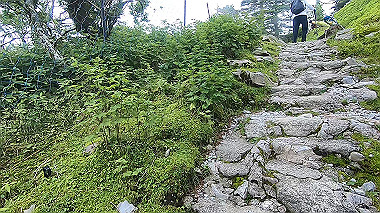 gx016846.mp4_snapshot_00.01_thumb.jpg