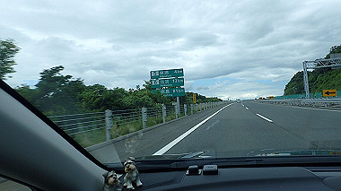 p7230913_thumb.jpg