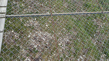 p7230939_thumb.jpg