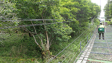 p7230940_thumb.jpg