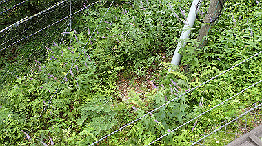 p7230941_thumb.jpg