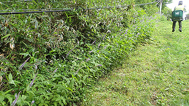 p7230943_thumb.jpg