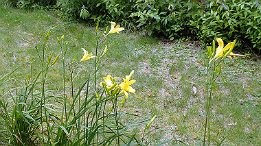 p7230948_thumb.jpg