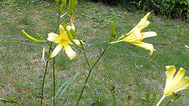 p7230949_thumb.jpg