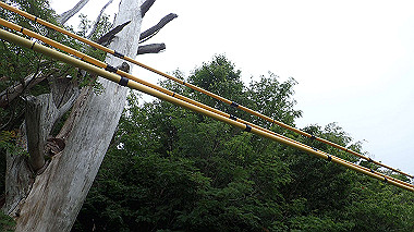 p7230950_thumb.jpg