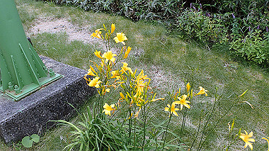 p7230952_thumb.jpg