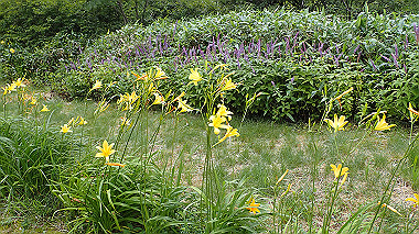 p7230953_thumb.jpg
