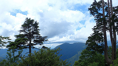 p7230954_thumb.jpg