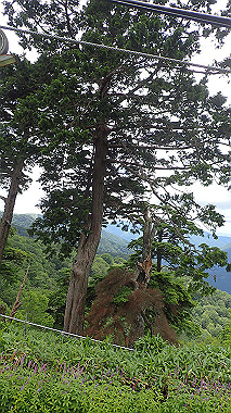 p7230955_thumb.jpg