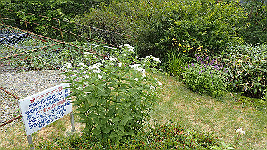 p7230957_thumb.jpg