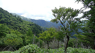 p7230970_thumb.jpg
