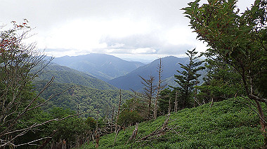 p7230975_thumb.jpg