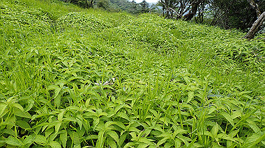 p7230977_thumb.jpg