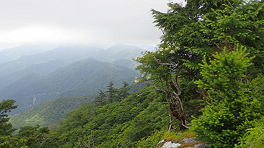 p7230979_thumb.jpg