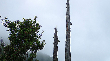 p7230983_thumb.jpg