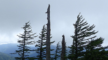 p7230984_thumb.jpg