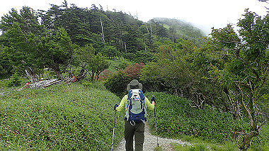 p7230986_thumb.jpg