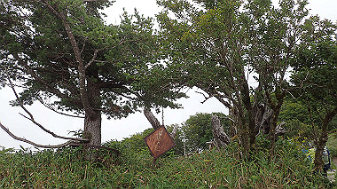 p7230988_thumb.jpg