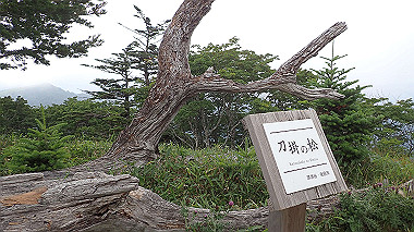p7230989_thumb.jpg