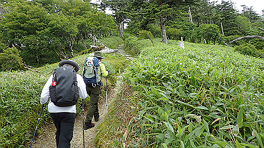 p7230996_thumb.jpg