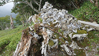 p7230997_thumb.jpg