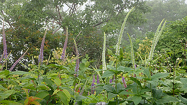 p7231008_thumb.jpg