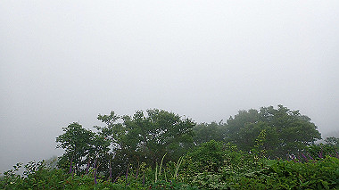 p7231009_thumb.jpg