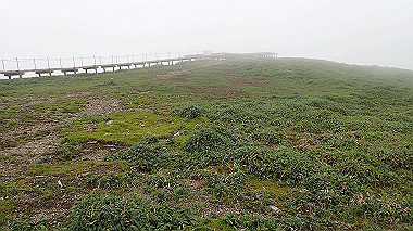 p7231044_thumb.jpg