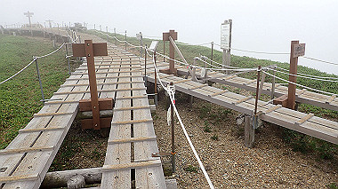 p7231047_thumb.jpg